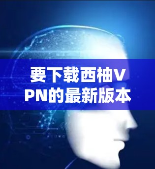 要下载西柚VPN的最新版本，请按照以下步骤操作