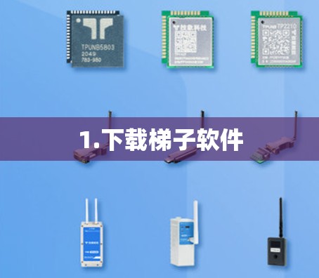 1.下载梯子软件