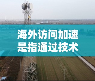 海外访问加速是指通过技术手段优化应用程序在国际用户访问时的性能、速度和稳定性。以下是一些常见的分析和优化方法，供参考