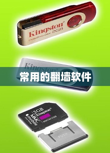 常用的翻墙软件