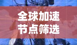 全球加速节点筛选指南