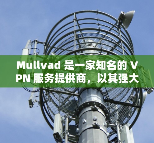 Mullvad 是一家知名的 VPN 服务提供商，以其强大的隐私保护功能和高效的性能而闻名。以下是对 Mullvad 的详细体验分析，帮助你了解其优势和适用场景