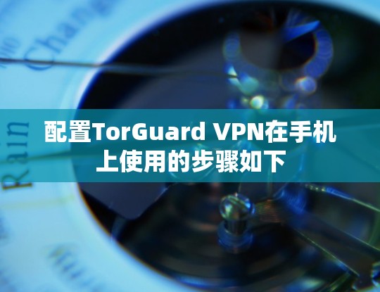 配置TorGuard VPN在手机上使用的步骤如下