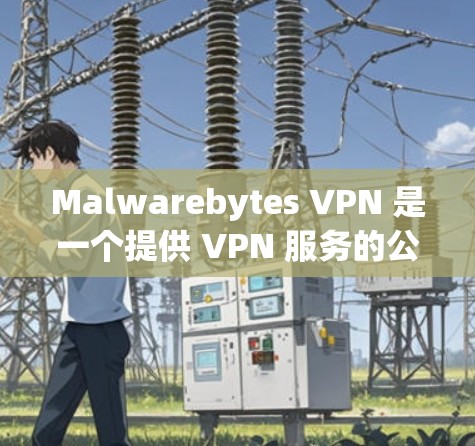Malwarebytes VPN 是一个提供 VPN 服务的公司，用户可以通过官网下载客户端。以下是Malwarebytes VPN官网和客户端下载的步骤