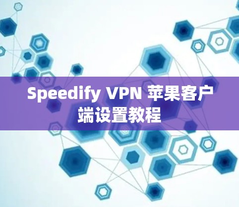 Speedify VPN 苹果客户端设置教程