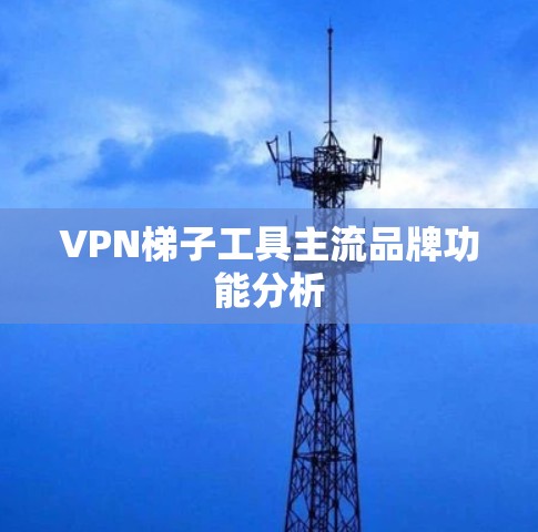 VPN梯子工具主流品牌功能分析
