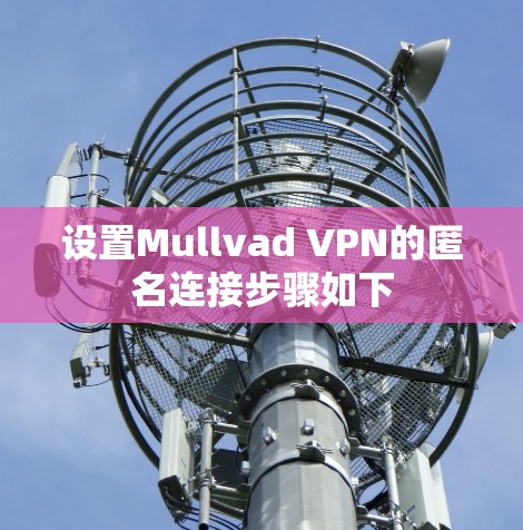 设置Mullvad VPN的匿名连接步骤如下