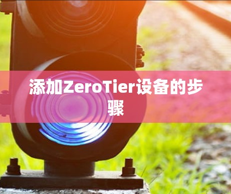 添加ZeroTier设备的步骤