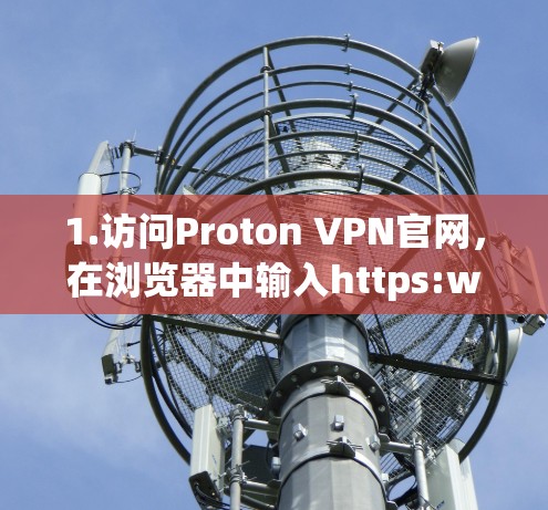 1.访问Proton VPN官网，在浏览器中输入https:www.protonvpn.com，确认网址正确