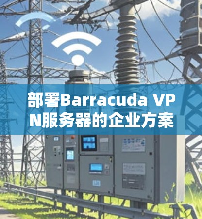 部署Barracuda VPN服务器的企业方案可以分为以下几个主要步骤