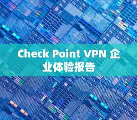 Check Point VPN 企业体验报告