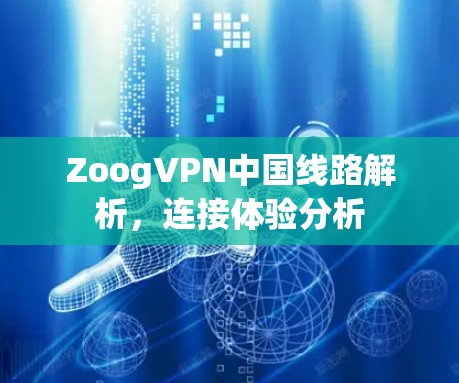 ZoogVPN中国线路解析，连接体验分析