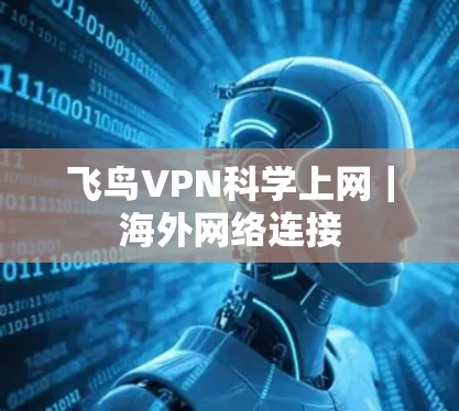 飞鸟VPN科学上网｜海外网络连接