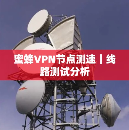 蜜蜂VPN节点测速｜线路测试分析