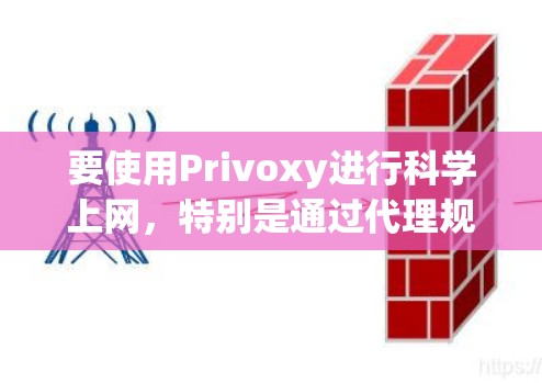 要使用Privoxy进行科学上网，特别是通过代理规则来管理网络访问，你需要按照以下步骤进行配置和使用
