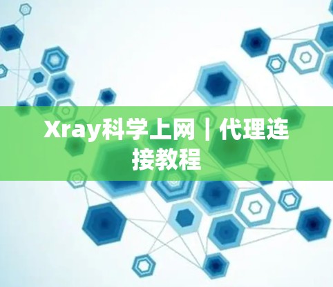 Xray科学上网｜代理连接教程