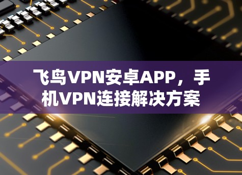 飞鸟VPN安卓APP，手机VPN连接解决方案
