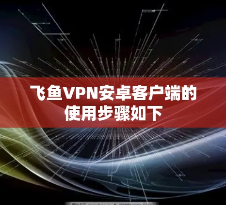 飞鱼VPN安卓客户端的使用步骤如下