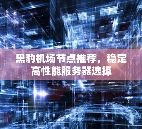 黑豹机场节点推荐，稳定高性能服务器选择