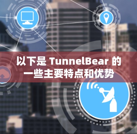 以下是 TunnelBear 的一些主要特点和优势