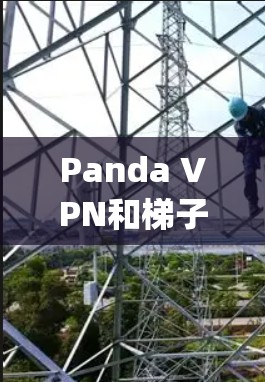 Panda VPN和梯子工具（Scrapy）是两种不同的工具，各自有不同的功能和用途。以下是对它们的详细分析