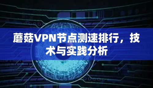 蘑菇VPN节点测速排行，技术与实践分析