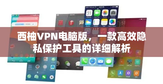 西柚VPN电脑版，一款高效隐私保护工具的详细解析