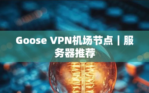 Goose VPN机场节点｜服务器推荐