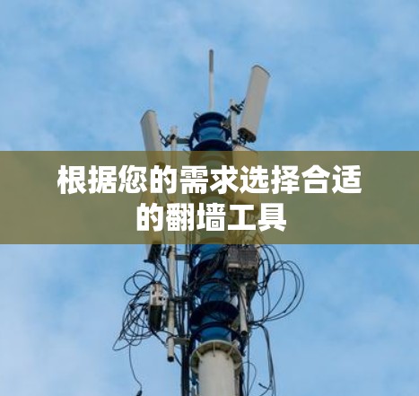 根据您的需求选择合适的翻墙工具