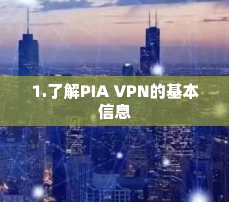 1.了解PIA VPN的基本信息