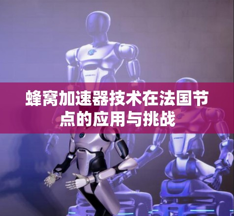 蜂窝加速器技术在法国节点的应用与挑战