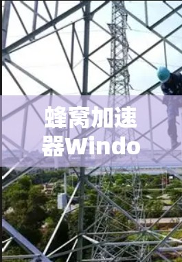 蜂窝加速器Windows版，性能优化与应用场景分析