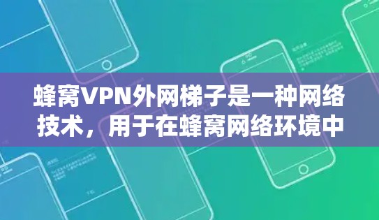 蜂窝VPN外网梯子是一种网络技术，用于在蜂窝网络环境中通过VPN连接到内部或外部网络，绕过防火墙限制。以下是对该技术的详细分析和步骤说明
